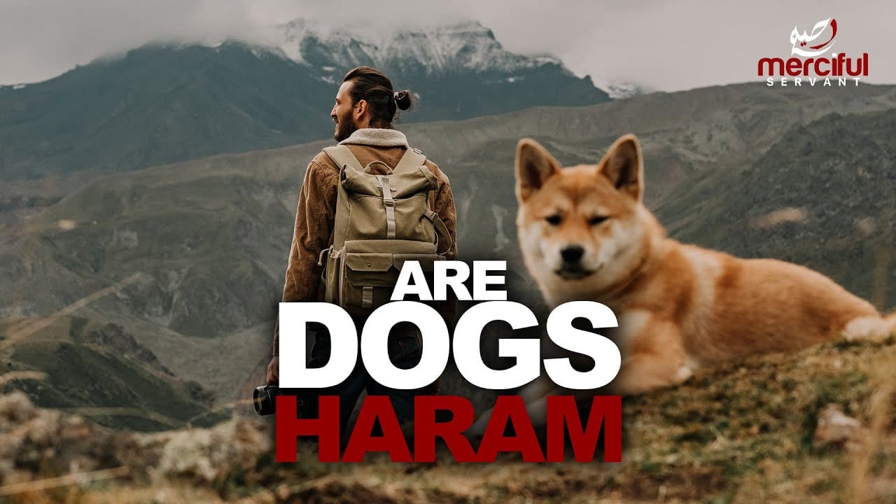 Are Dogs Haram are-dogs-haram