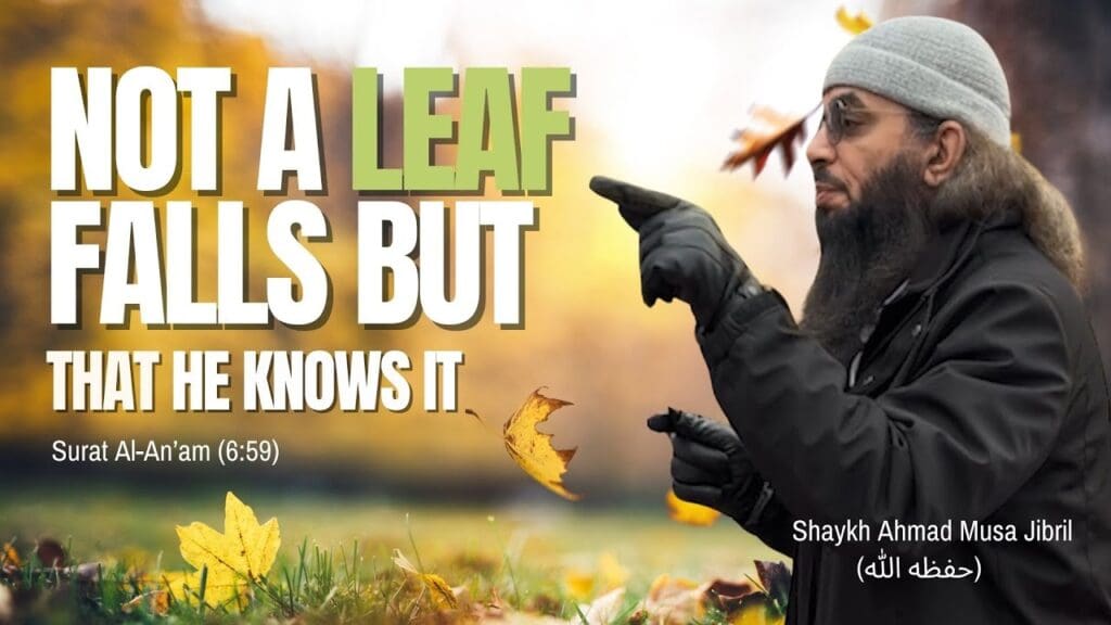 Not a leaf falls except he has knowledge of it